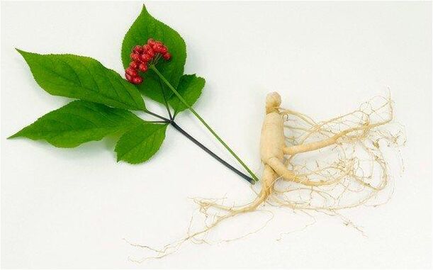 Ginseng increases libido and has a positive effect on the male body