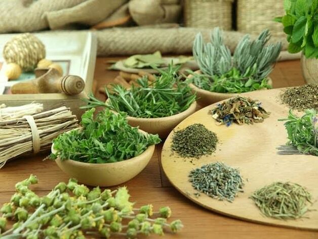 Phytotherapy for potency
