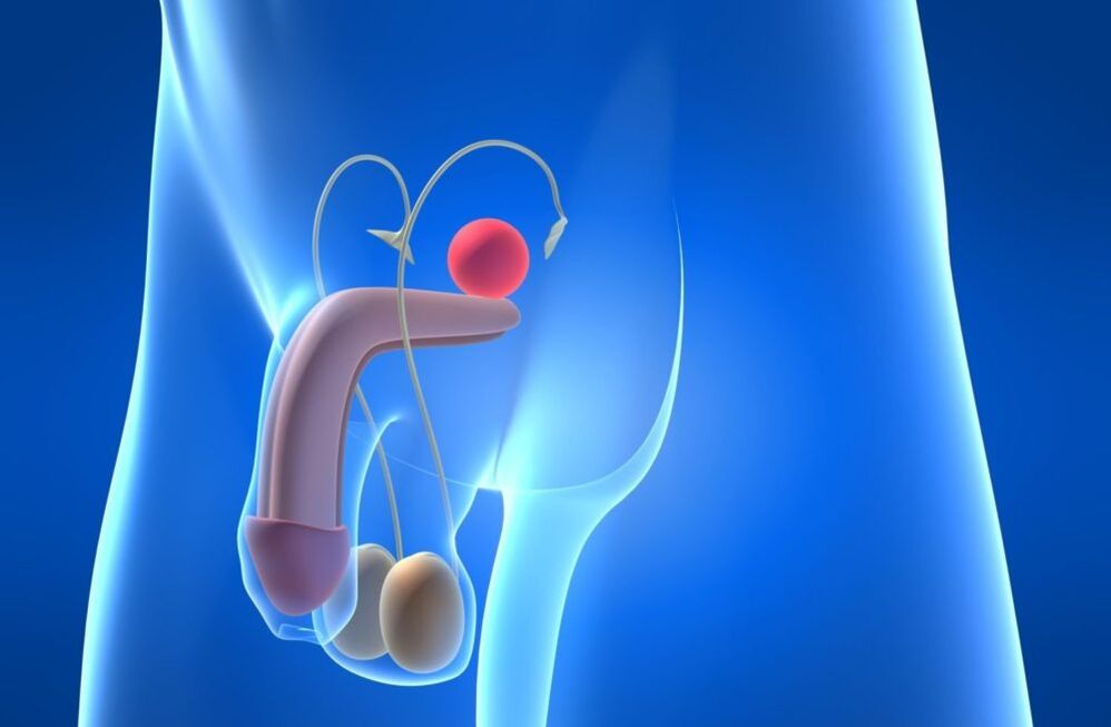 Diseases of the reproductive system can lead to a reduction in potency in men
